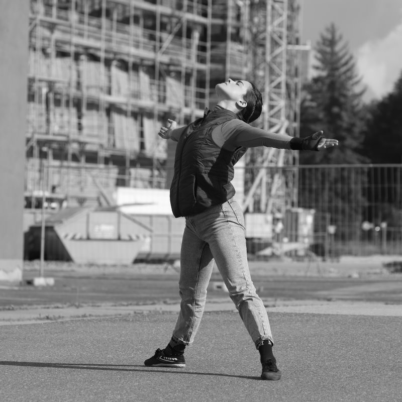 Company Chameleon – Bild 14