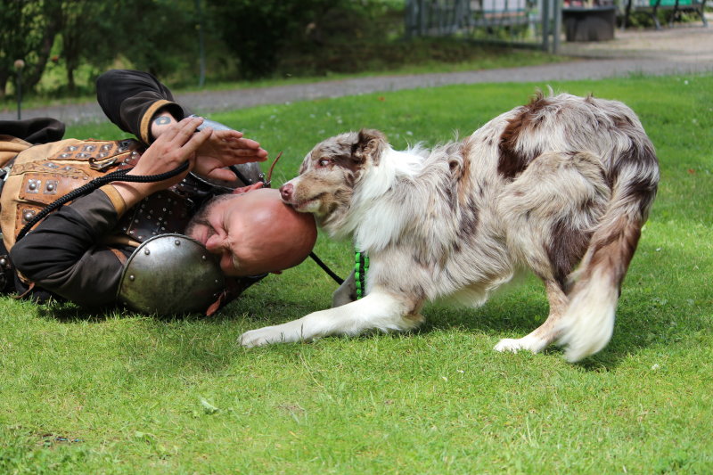 Ritterfestspiele – Bild 14